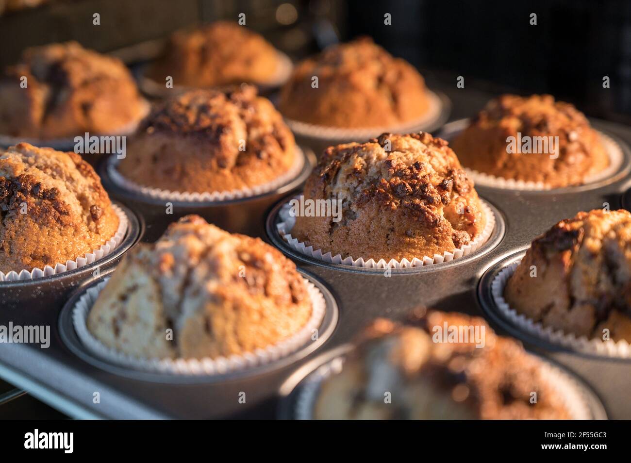 De délicieux muffins aux grains de chocolat montent au four Banque D'Images
