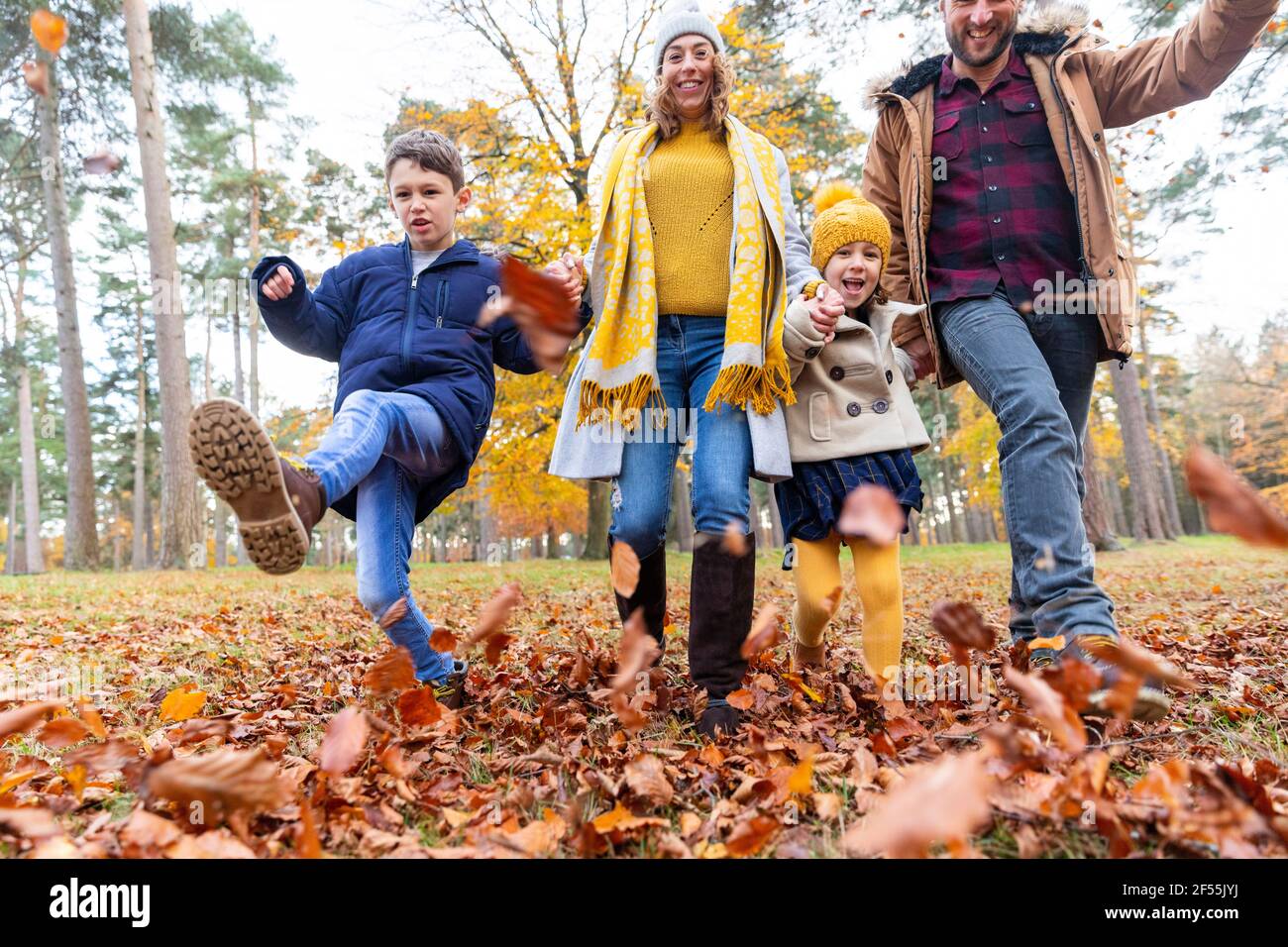 Famille souriante jouant avec la feuille tombée tout en marchant dans la forêt Banque D'Images
