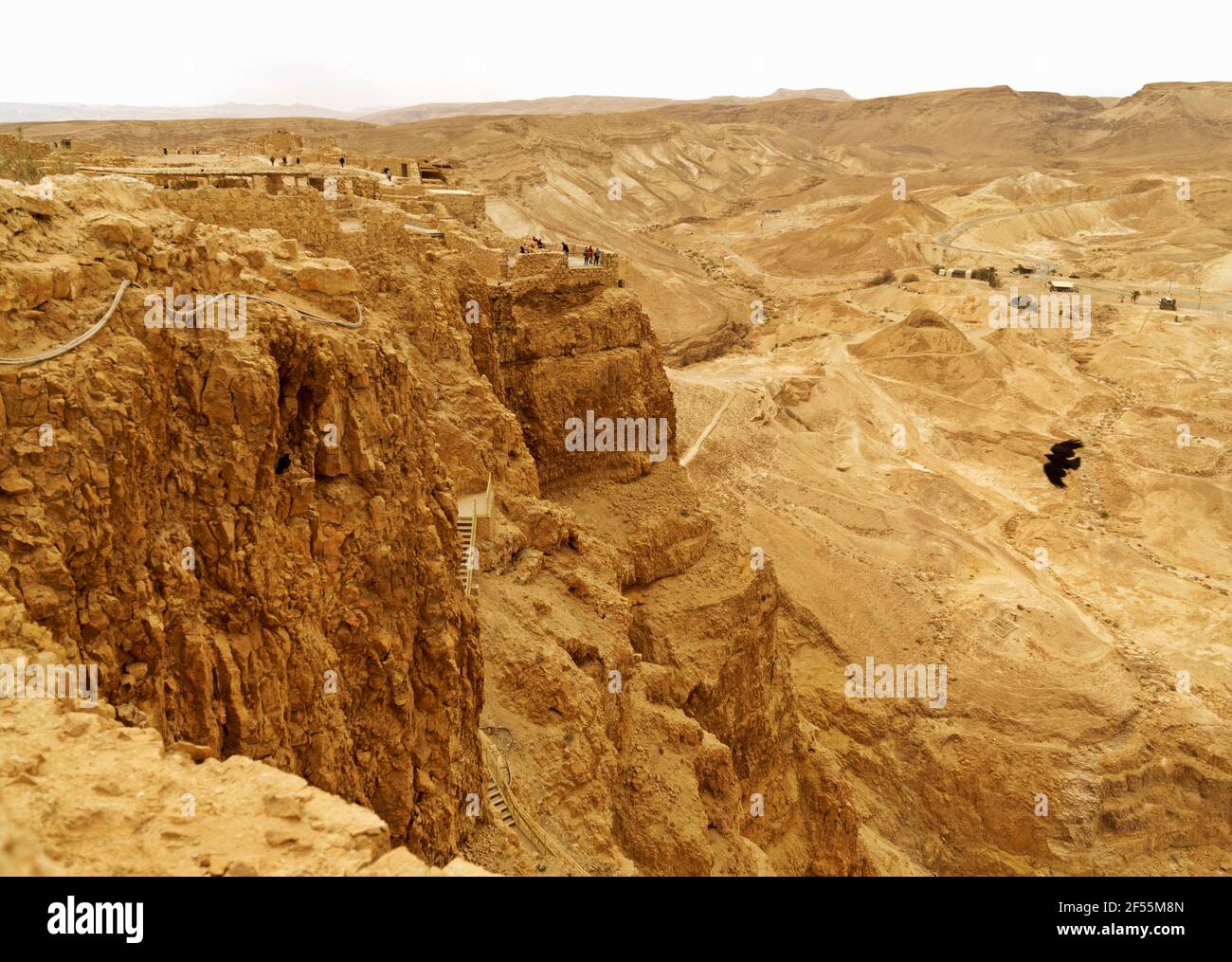 Israël, Masada, la forteresse de montagne du roi Hérode et le dernier bastion de la révolte juive contre les Romains en 73 après J.-C. site du patrimoine mondial de l'UNESCO Banque D'Images