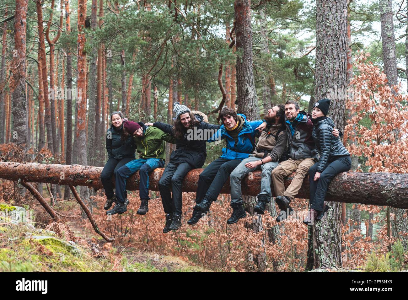 Groupe de randonneurs assis ensemble sur un arbre tombé en automne forêt Banque D'Images