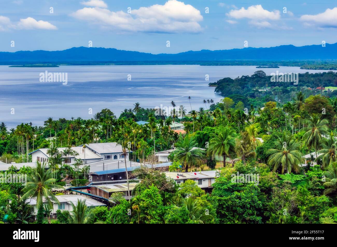 Papouasie-Nouvelle-Guinée, province de Milne Bay, Alotau, ville côtière entourée de palmiers verts Banque D'Images