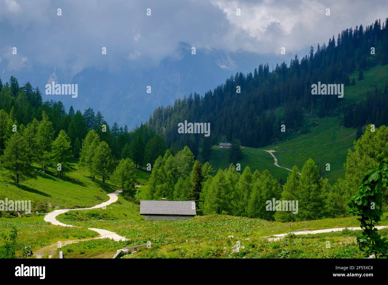 Route de terre s'enroulant à travers la vallée verdoyante des Alpes de Berchtesgaden avec refuge Schneibsteinhaus en arrière-plan Banque D'Images