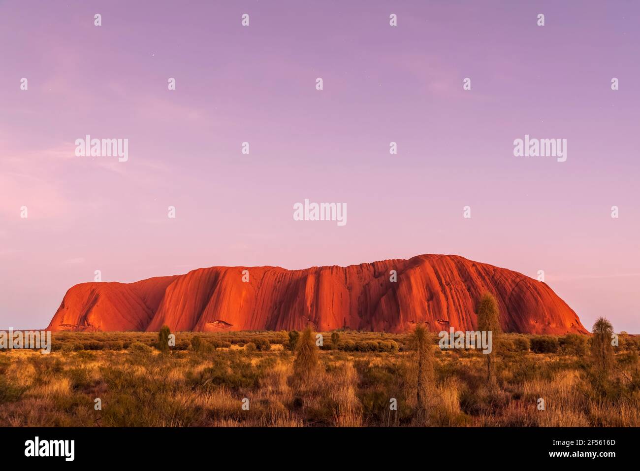 Australie, territoire du Nord, ciel violet au-dessus d'Ayers Rock au crépuscule Banque D'Images