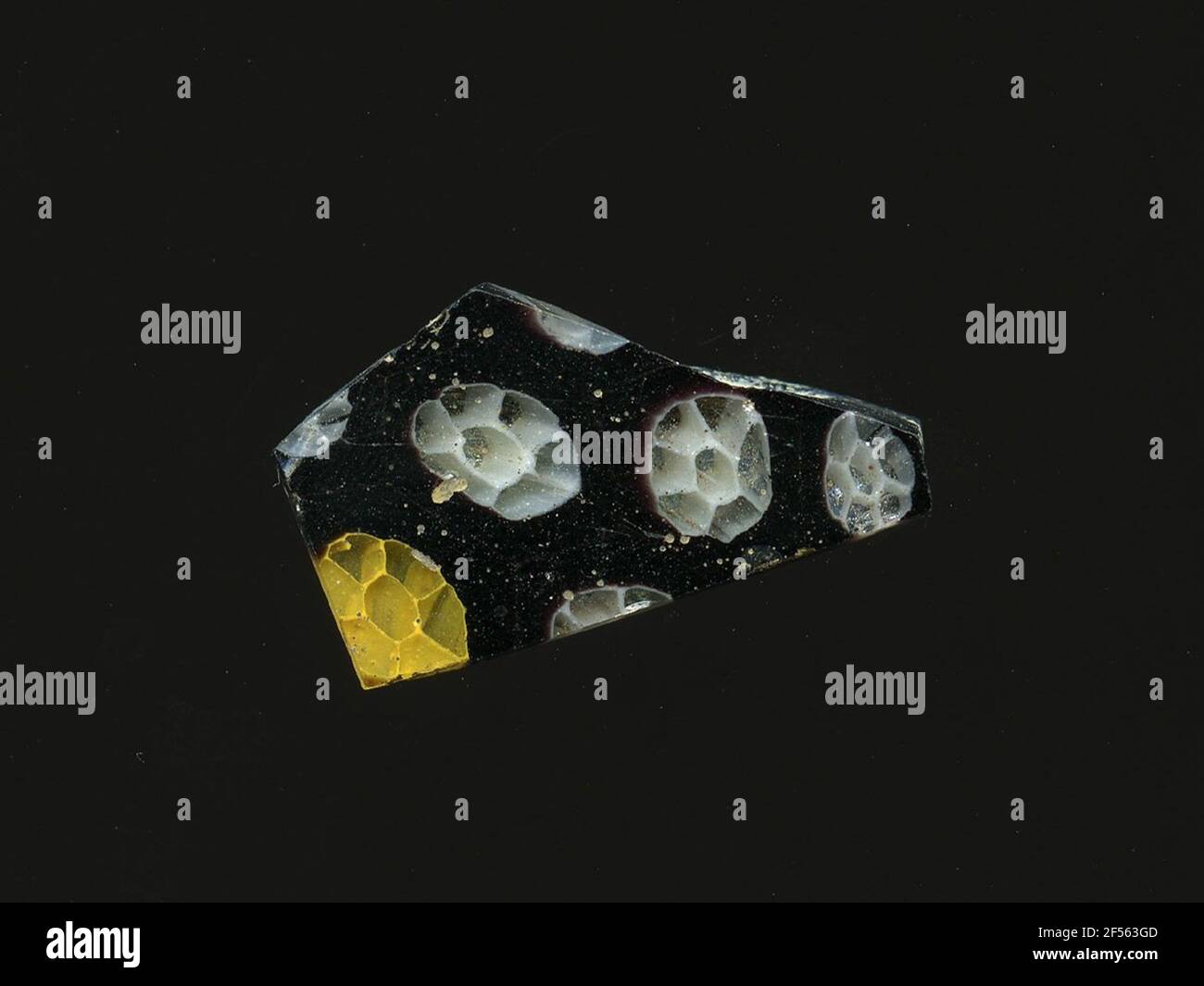 Fragment d'un vaisseau. Une faible courbure du fragment de verre permet l'affectation à un vaisseau. Le verre violet est décoré de fleurs multiples dans la technologie millefiori. Ils se composent d'un cercle transparent avec un contour blanc, qui est encadré par des pétales transparents avec un contour blanc, ou une variante avec des contours jaunes. Pour la production, des verres de différentes couleurs ont été moulés dans des tubes et des tiges. Elles étaient comprimées et chauffées, ce qui entraînait une longue barre. Le verre coupé en tranches de ​​now avait des motifs amorphes ou floraux différents. Par la suite, plusieurs de ces plaquettes ont été pliées ensemble, réchauffées à nouveau et Banque D'Images