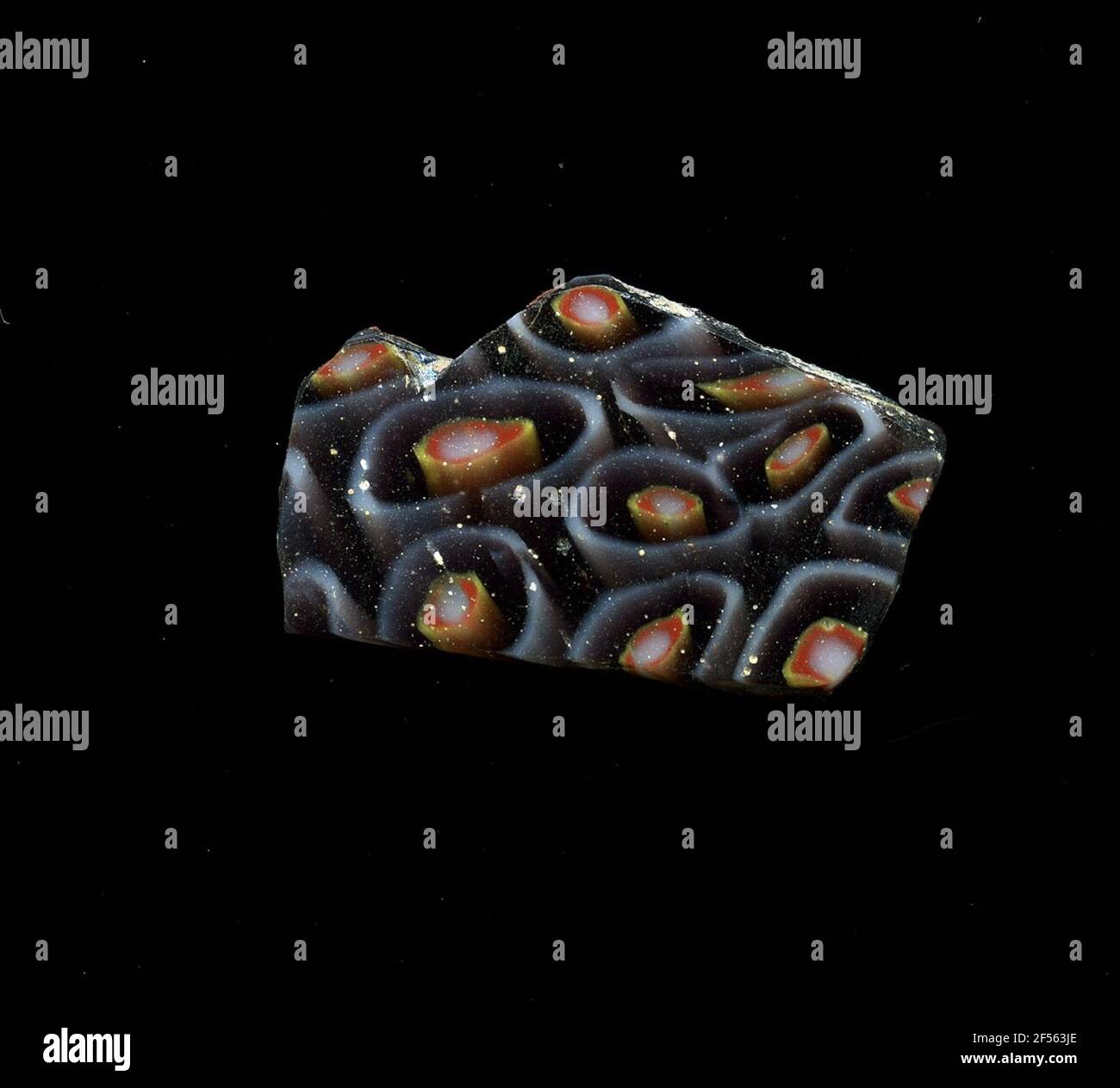 Fragment d'un vaisseau. Une faible courbure du fragment de verre permet l'affectation à un vaisseau, éventuellement à une coque. Le fond violet montre plusieurs fleurs simples dans la technologie millefiori. Un point blanc avec une bordure rouge et jaune est glissé avec une petite distance un cercle blanc marqué des pétales. Pour la production, des verres de différentes couleurs ont été formés en tubes et en tiges. Elles étaient comprimées et chauffées, ce qui entraînait une longue barre. Le verre coupé en tranches de ​​now avait des motifs amorphes ou floraux différents. Par la suite, plusieurs de ces plaquettes ont été repliées ensemble, réchauffées à nouveau et pressées dans les s vasculaires Banque D'Images