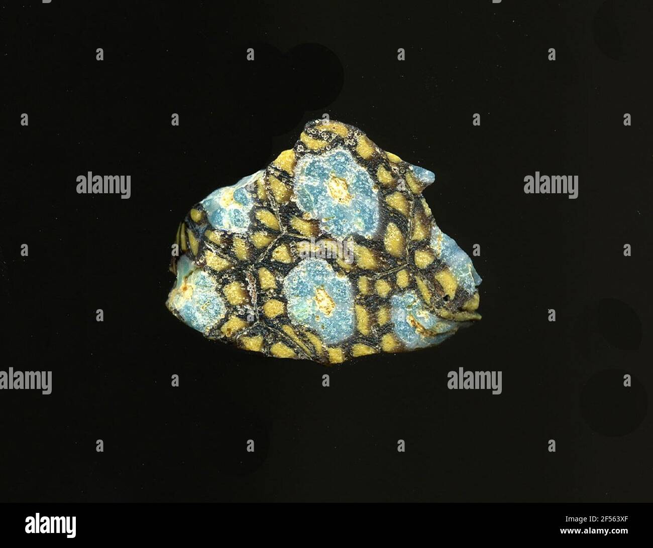 Fragment d'un vaisseau. Une faible courbure du fragment de verre permet l'affectation à un vaisseau, éventuellement à une coque. Le sol violet est traversé par de fines lignes blanches, qui forment une grille, le nid d'abeille ressemble. Dans les espaces sont des fleurs composées d'un point jaune pour poser les points bleus bordés de blanc comme des pétales. Par conséquent, plus de points jaunes sur une raison violette peuvent être vus sur une ligne circulaire. Pour la production, des verres de différentes couleurs ont été façonnés sur des tubes et des tiges. Elles étaient comprimées et chauffées, ce qui entraînait une longue barre. Le verre coupé en tranches de ​​now avait des motifs amorphes ou floraux différents. Par la suite, se Banque D'Images