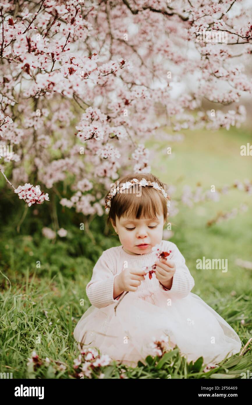 Petite fille assise sur l'herbe près du cerisier au printemps Banque D'Images