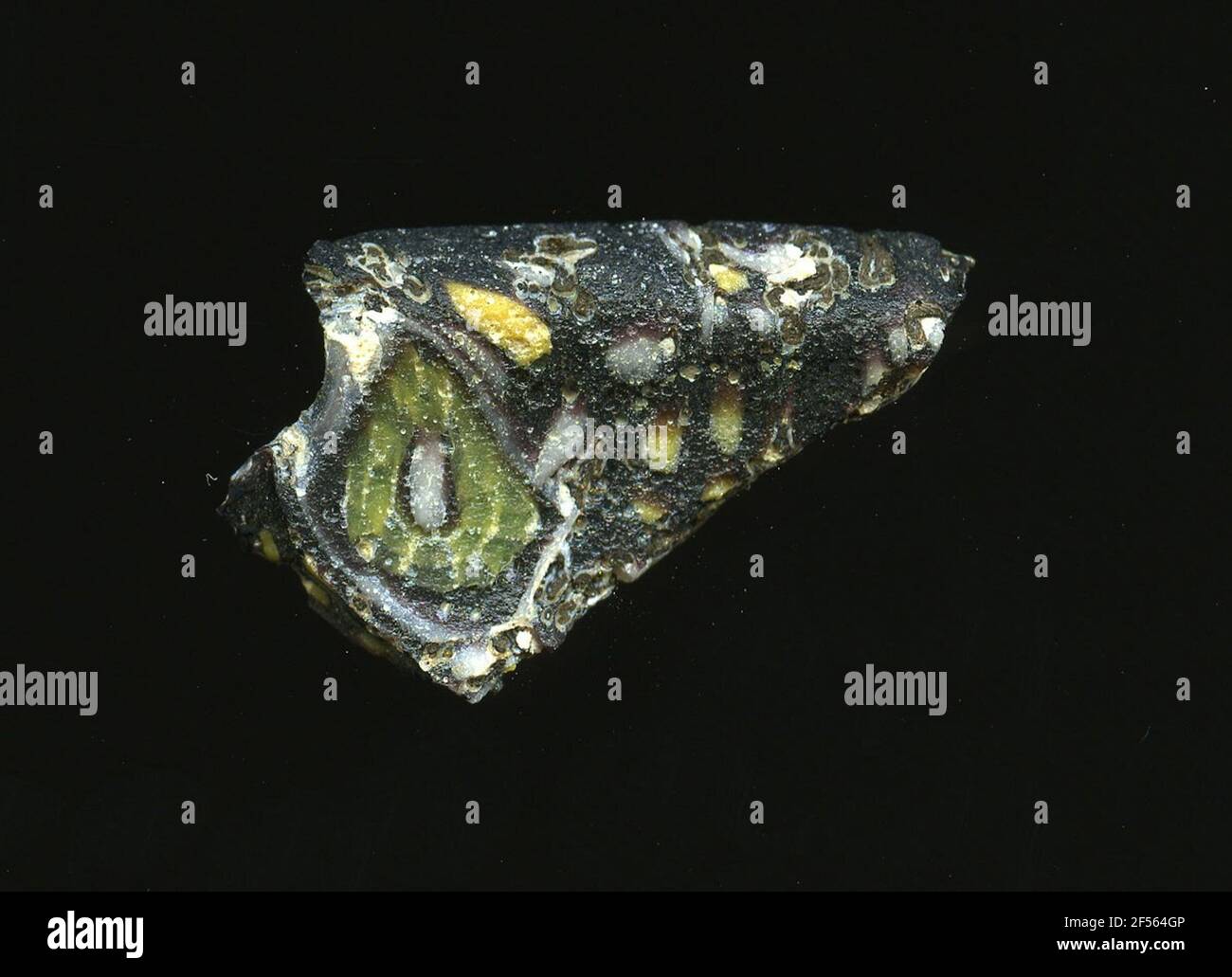 Fragment d'un vaisseau. Une faible courbure du fragment de verre permet l'affectation à un vaisseau. La raison du verre est vert olive foncé. Ceux-ci sont de voir des fleurs dans la technologie Millefiori. Autour d'un point blanc, un ruban vert se présente sous forme de pétales. Sur le bord de la fracture se trouvent les points jaunes, qui sont disposés circulaire et aussi les pétales de pollen. Pour la production, des verres de différentes couleurs ont été moulés dans des tubes et des tiges. Elles étaient comprimées et chauffées, ce qui entraînait une longue barre. Le verre coupé en tranches de ​​now avait des motifs amorphes ou floraux différents. Par la suite, plusieurs de ces plaquettes ont été fusionnées, réchauffées à nouveau Banque D'Images