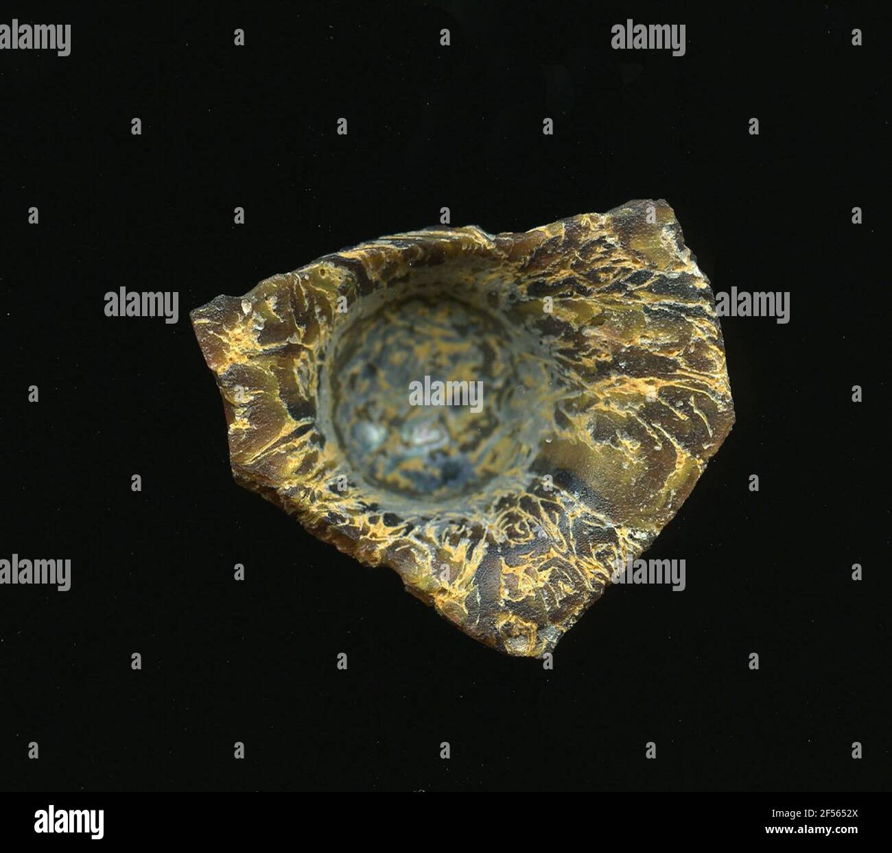 Fragment d'un vaisseau. La forme du fragment de verre permet l'affectation à un vaisseau. La raison brune est traversée par des fils de beiges jaunâtres. Pour la production, des verres de différentes couleurs ont été moulés dans des tubes et des tiges. Elles étaient comprimées et chauffées, ce qui entraînait une longue barre. Le verre coupé en tranches de ​​now avait des motifs amorphes ou floraux différents. Par la suite, plusieurs de ces plaquettes ont été pliées, chauffées à nouveau et pressées en forme vasculaire. Burry pour le processus de fabrication élaboré et sa fragilité a été l'un des articles de luxe de l'antiquité. Banque D'Images