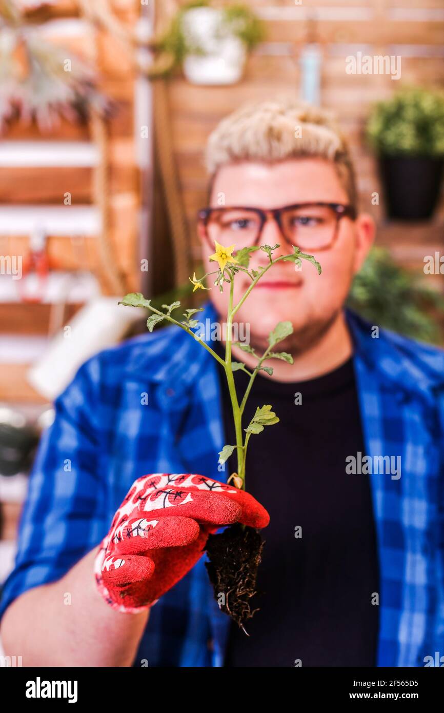 Jeune homme examinant une plantule de tomate dans son jardin urbain Banque D'Images