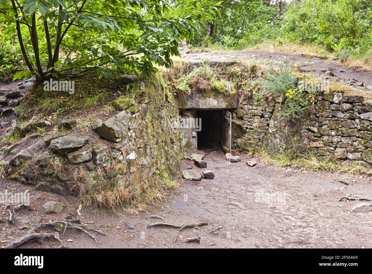 L'entrée de Kercado Tumulus, monument mégalithique près de Carnac, Bretagne, France Banque D'Images