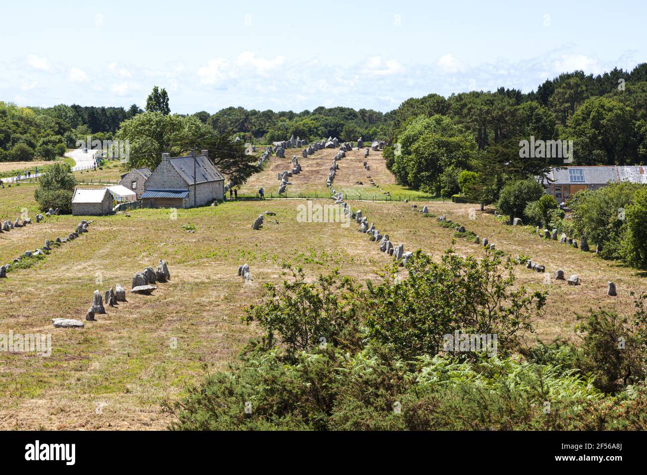 Parmi les plus de 3000 menhirs du néolithique à Carnac, Bretagne, France Banque D'Images