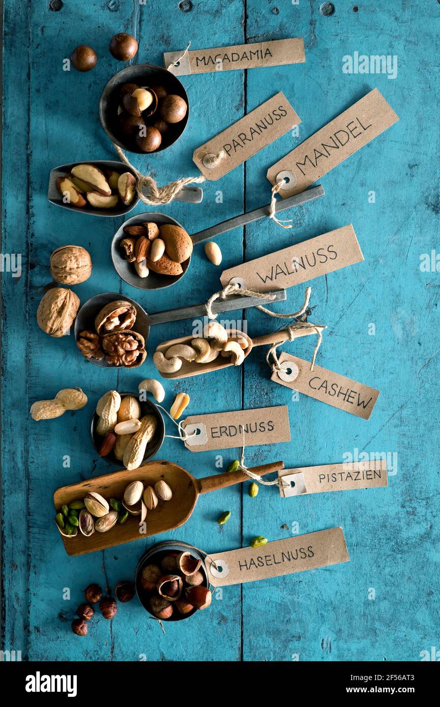 Divers noix dans des bols et sur des cuillères, noix du Brésil, amandes, macadamia, noix, pistache, arachide, noix de cajou, noisette avec des étiquettes sur fond de bois rustique Banque D'Images