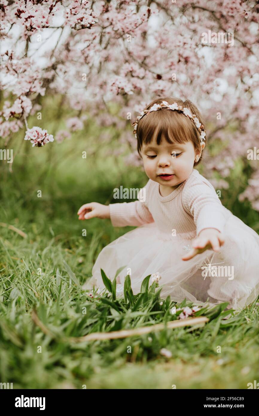 Petite fille jouant avec des fleurs de cerisier au printemps Banque D'Images