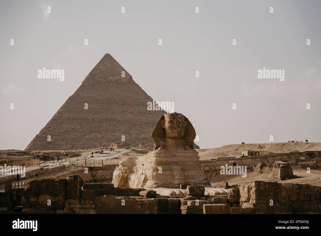 Égypte, le Caire, Grande Pyramide de Gizeh et Grand Sphinx de Gizeh Banque D'Images