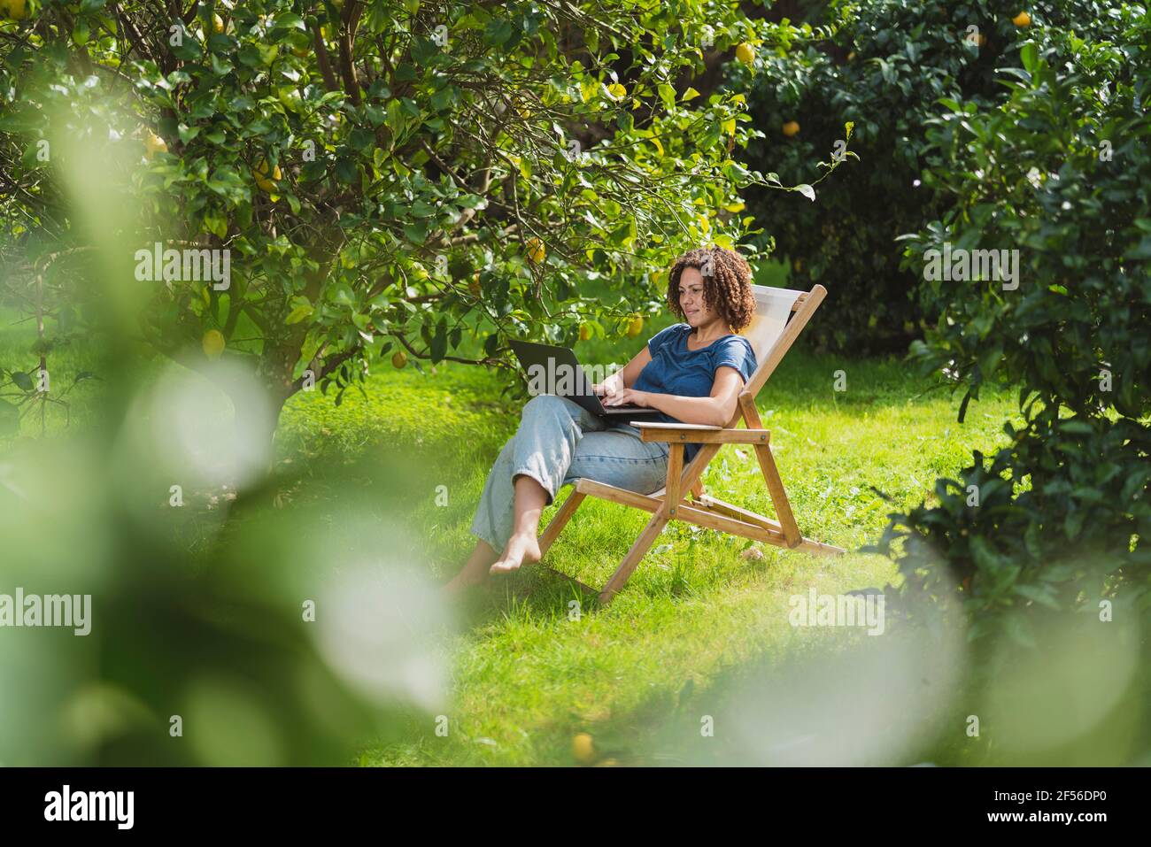 Femme adulte de taille moyenne utilisant un ordinateur portable assis sur une chaise au milieu arbres dans le jardin Banque D'Images