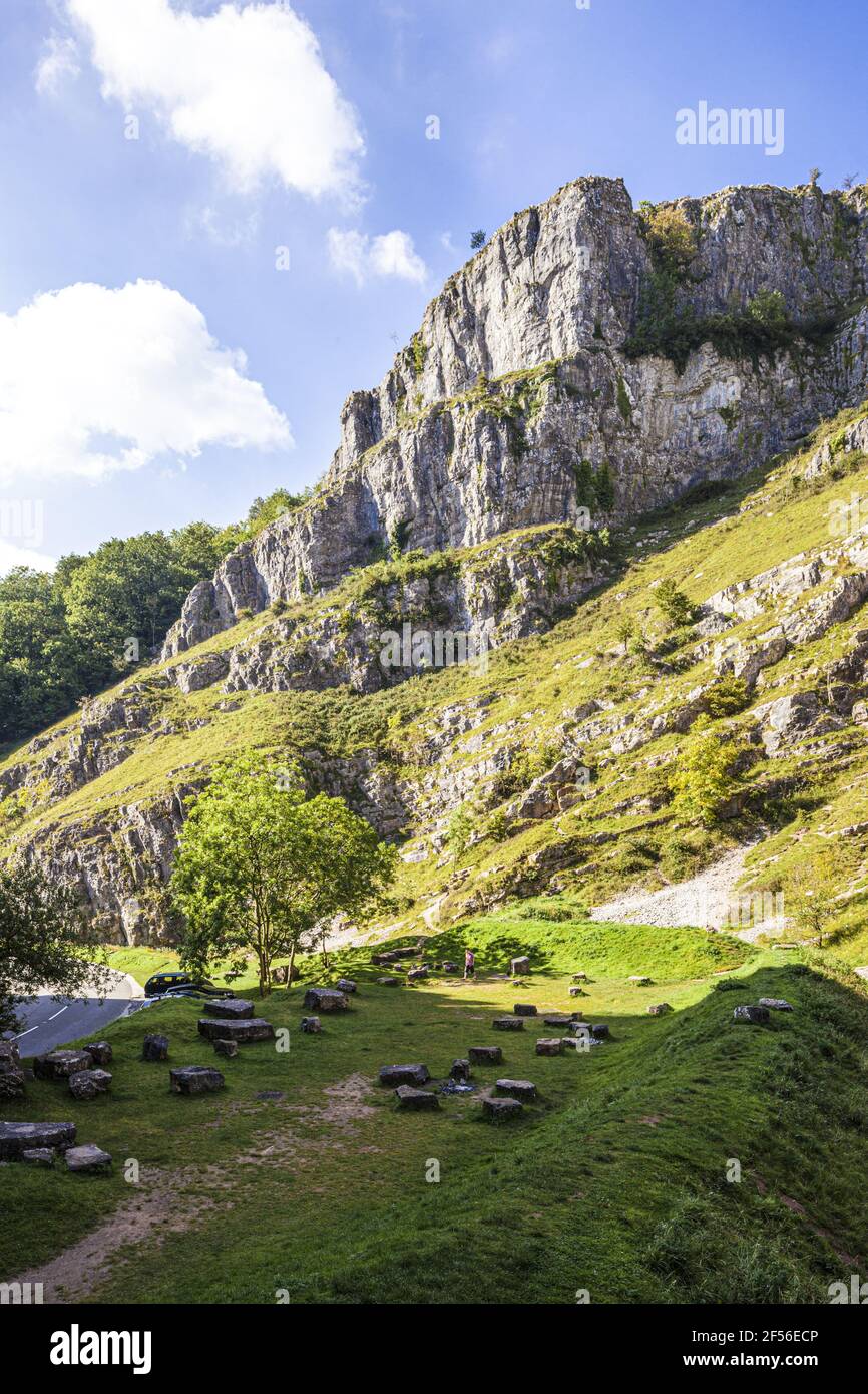 Gorge de cheddar. Gorge calcaire dans les collines de Mendip, Cheddar, Somerset, Royaume-Uni Banque D'Images