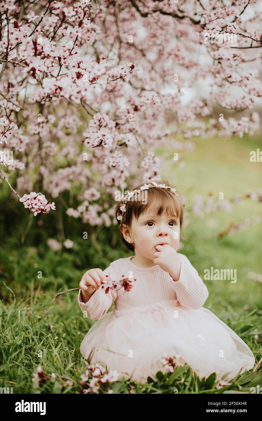 Petite fille jouant avec des fleurs de cerisier au printemps Banque D'Images