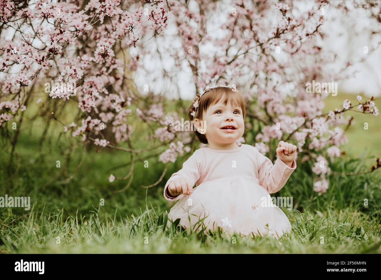 Petite fille assise sur l'herbe près du cerisier au printemps Banque D'Images