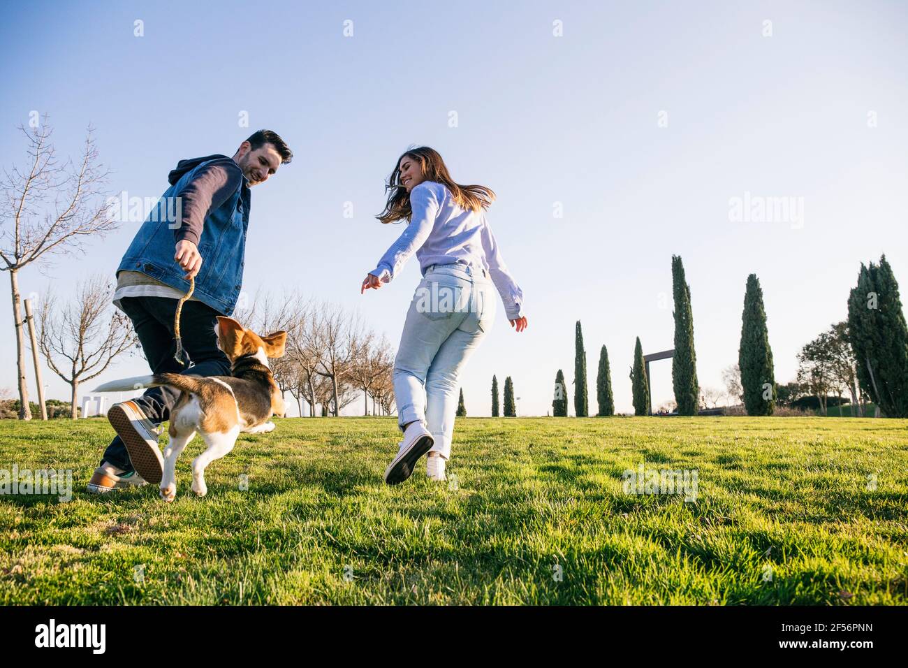 Homme et femme de taille moyenne adulte courant avec un chien pendant qu'ils jouent dans le parc Banque D'Images