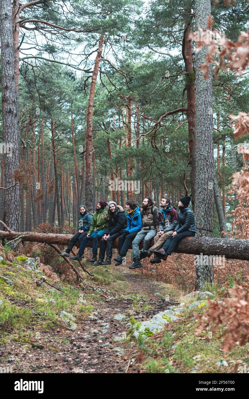 Groupe de randonneurs assis ensemble sur un arbre tombé en automne forêt Banque D'Images