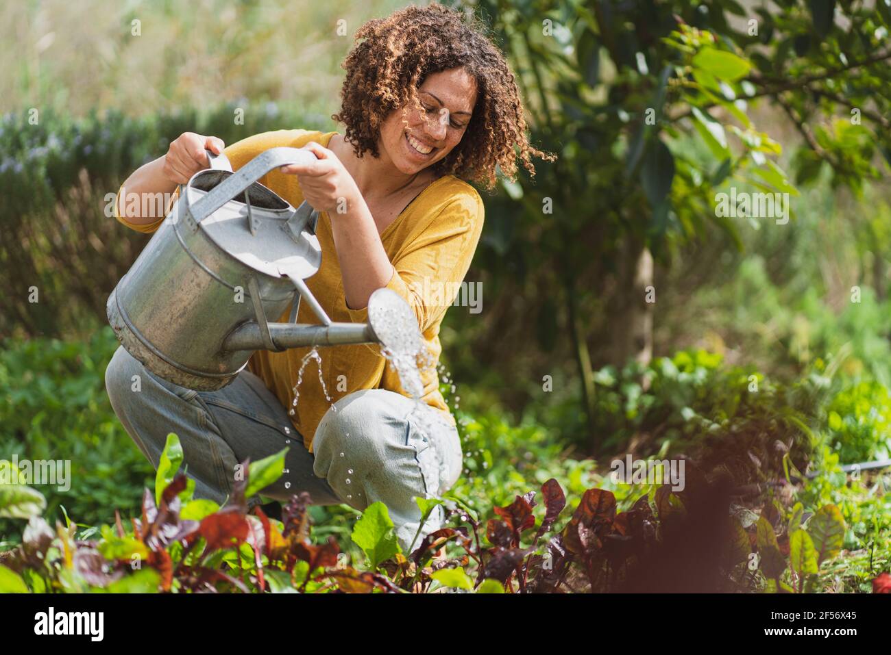 Bonne femme arrosoir des plantes dans le jardin de permaculture Banque D'Images