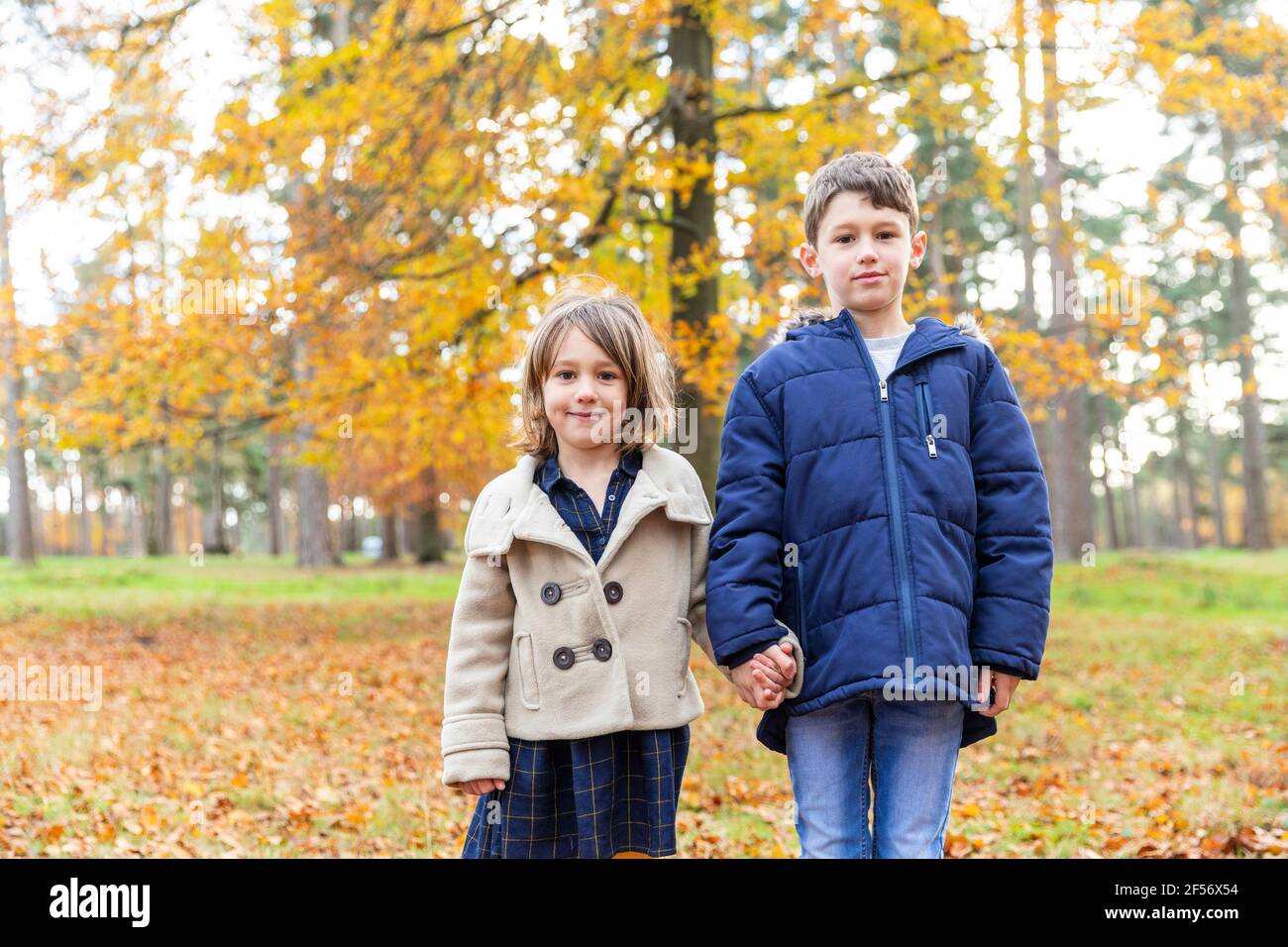 Jolie sœur tenant la main du frère tout en se tenant debout dans la forêt Banque D'Images