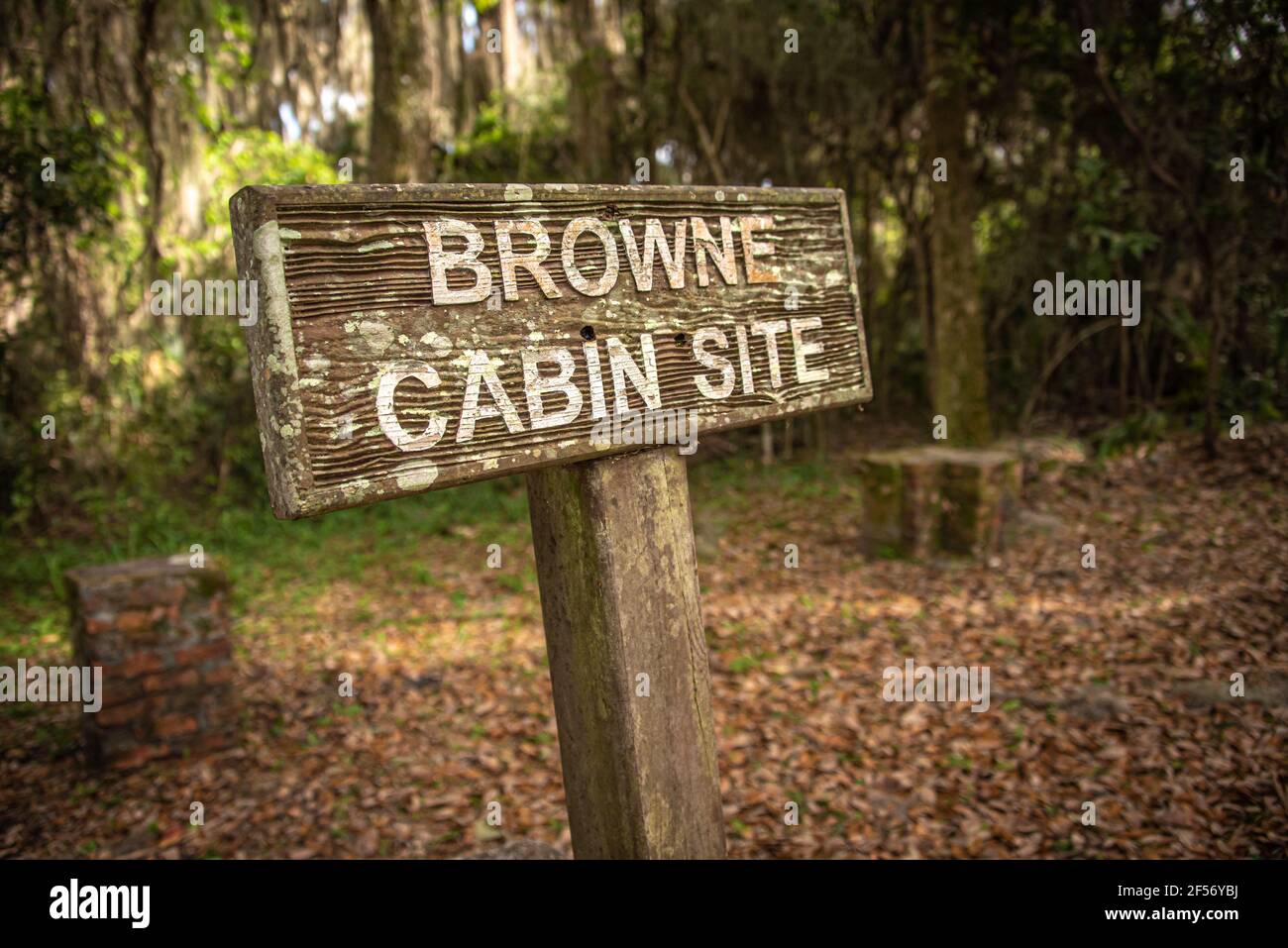 Panneau Trail pour le site de la cabane Willie Brown dans la zone Theodore Roosevelt de la réserve écologique et historique de Timucuan à Jacksonville, Floride. Banque D'Images