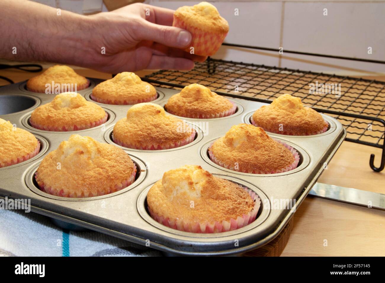 Les cupcakes sont placés sur une grille de refroidissement Banque D'Images