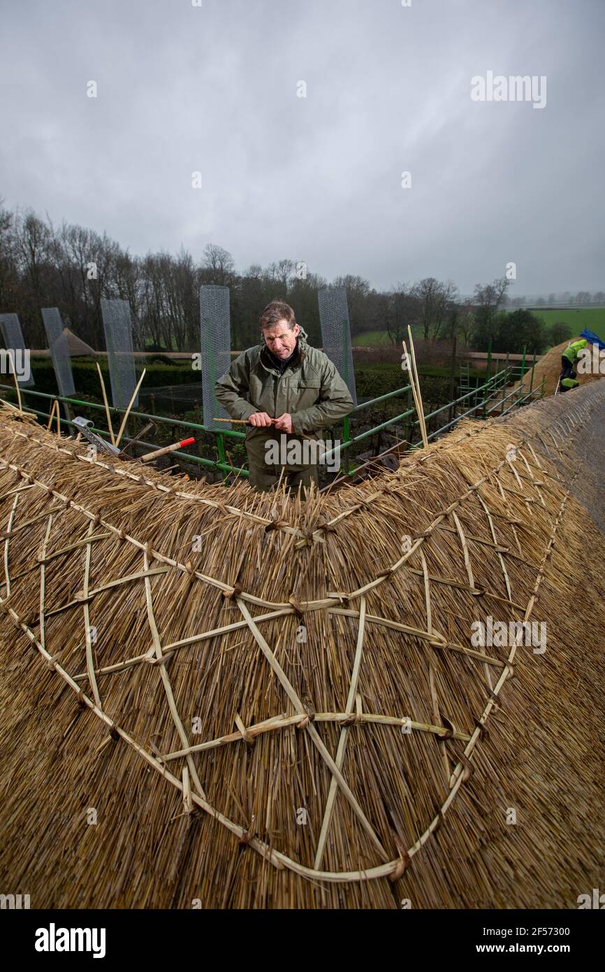 Master Thatcher, Adam Nash toit professionnel thatcher s'adapte à « Hazel Spars » pour réparer le travail de manteau et la paille sur le toit d'un jardin clos, Wiltshire, Angleterre. Banque D'Images