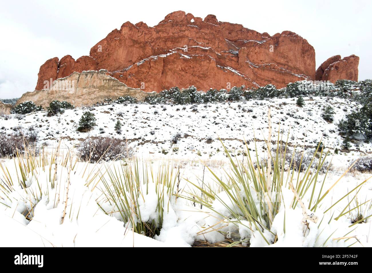 Tempête de neige à la fin du printemps au parc Garden of the Gods, Colorado Springs, Colorado Banque D'Images