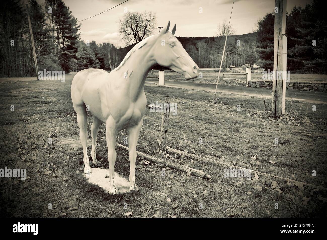 Native View Trading Post est un emporium-cadeau sur le Mohawk Trail depuis les années 1950. Il est situé à Shelburne Falls, Massachusetts, États-Unis. Banque D'Images Native View Trading Post est un emporium-cadeau sur le Mohawk Trail depuis les années 1950. Il est situé à Shelburne Falls, Massachusetts, États-Unis. Banque D'Images