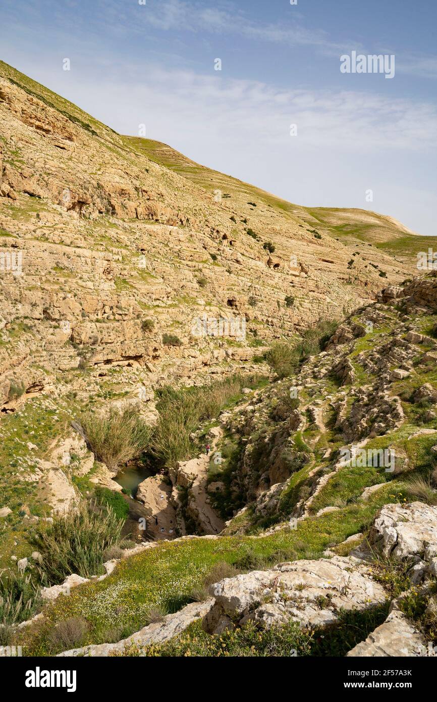 Vue panoramique sur le ruisseau Prat, au bord du désert de Judée, Israël, au printemps. Banque D'Images