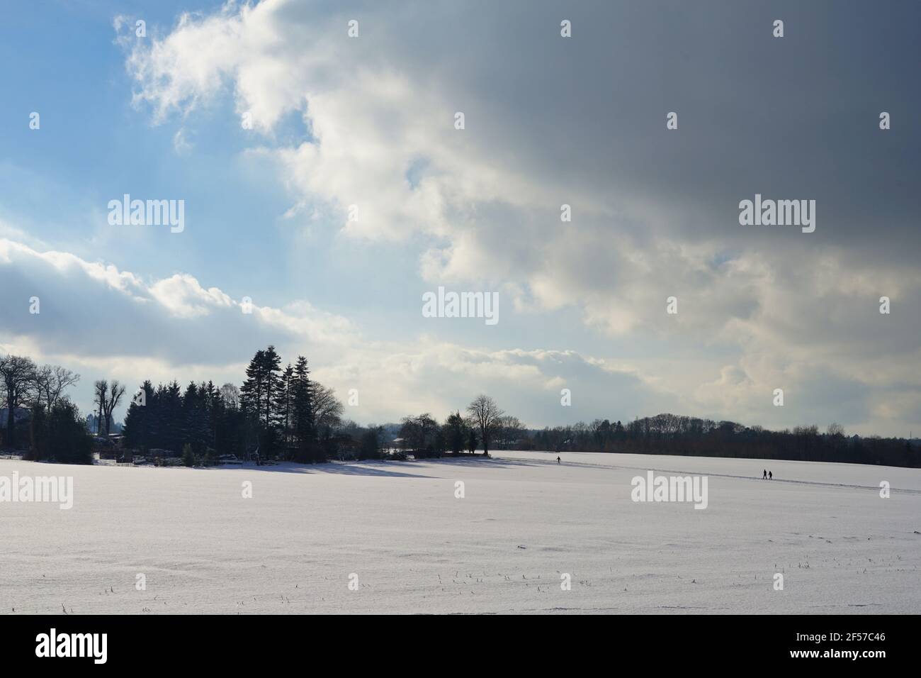 Neige sur les champs de la banlieue de Hambourg, hiver, ciel nuageux Banque D'Images