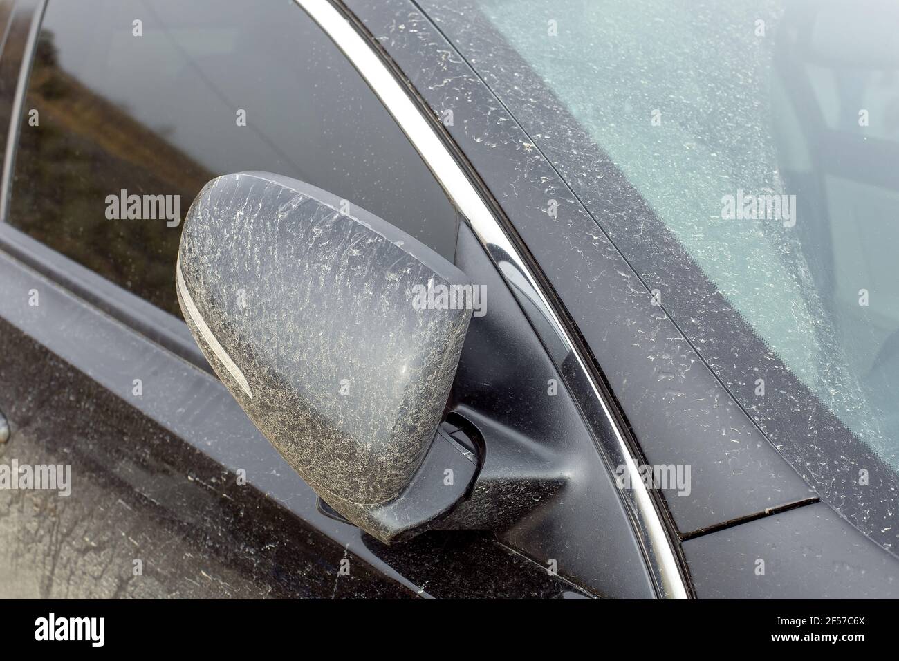 rétroviseur arrière replié recouvert d'une couche de sèche boue sur une voiture noire sale avec clignotants allumés le gros plan du corps du rétroviseur extérieur du véhicule s'exte Banque D'Images