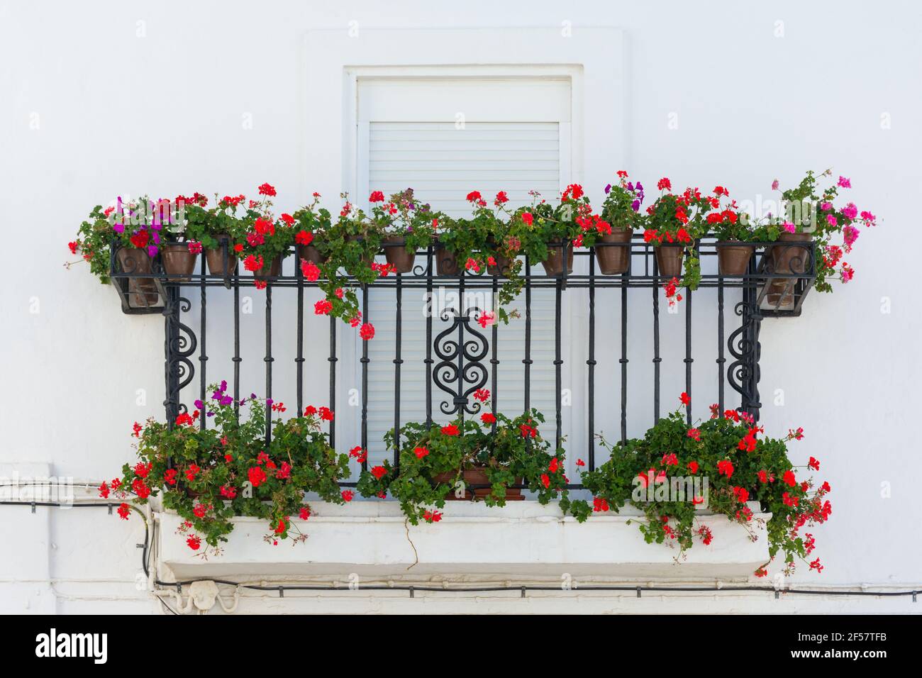 Beau balcon avec géraniums rouges à Vejer de la Frontera, province de Cadix. Andalousie, Espagne Banque D'Images