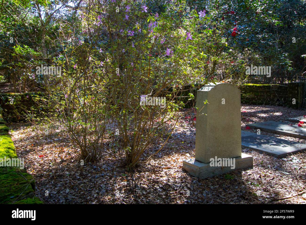 Charleston, Caroline du Sud, États-Unis - 23 février 2021 : cimetière historique de Hampton Plantation. La plantation serait hantée. Banque D'Images