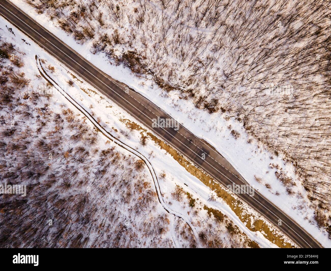 Image de drone de vue aérienne haut en bas à angle élevé sur la route à travers les arbres et la forêt dans la chaîne de montagne couverte avec Neige blanche en hiver près de Knjazevac Banque D'Images