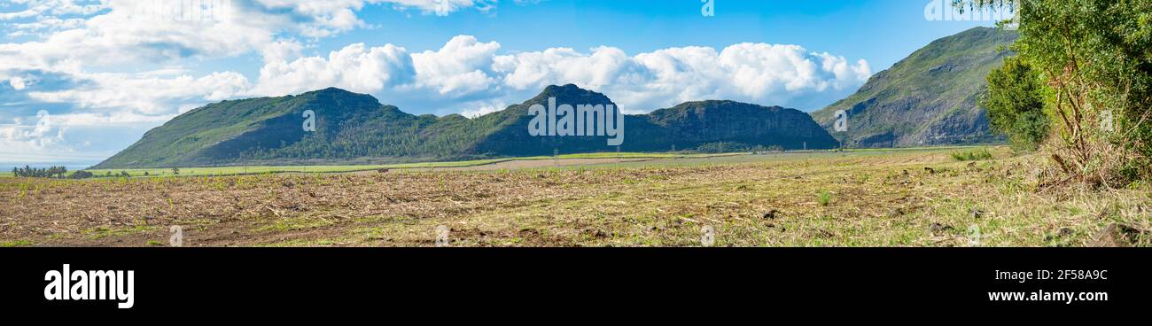 panorama du champ de canne à sucre récolté sur fond de ciel bleu et de montagne. Banque D'Images