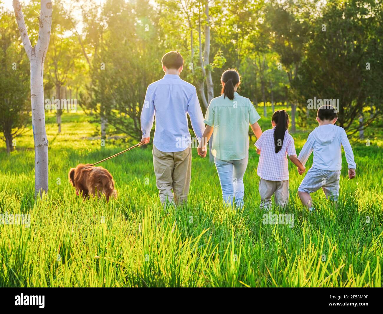 Bonne famille de quatre personnes marchant avec un chien dans le stationnement Banque D'Images