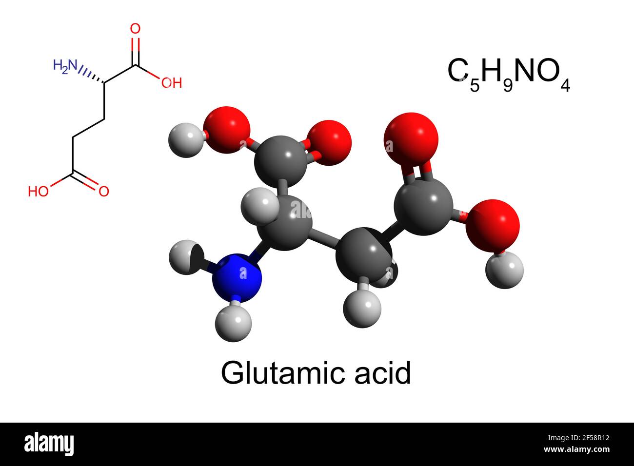 Découvrir 62+ imagen glutamate formule - fr.thptnganamst.edu.vn