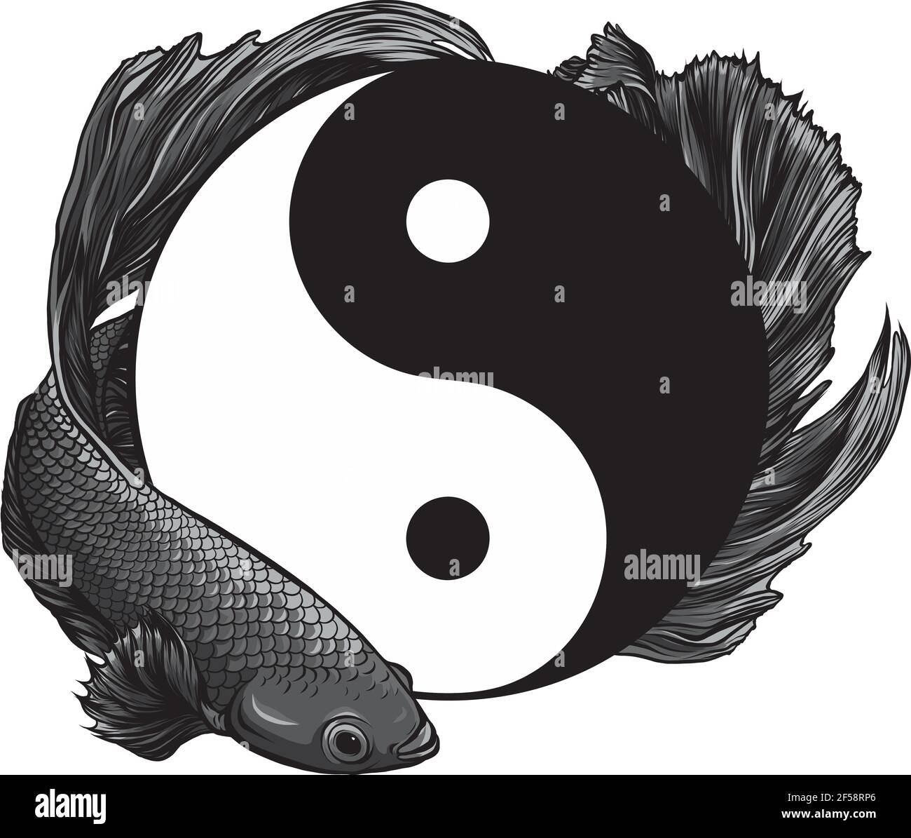 Dessin De Yin Yang Betta Splendens Dessin Vectoriel De Poissons Image Vectorielle Stock Alamy