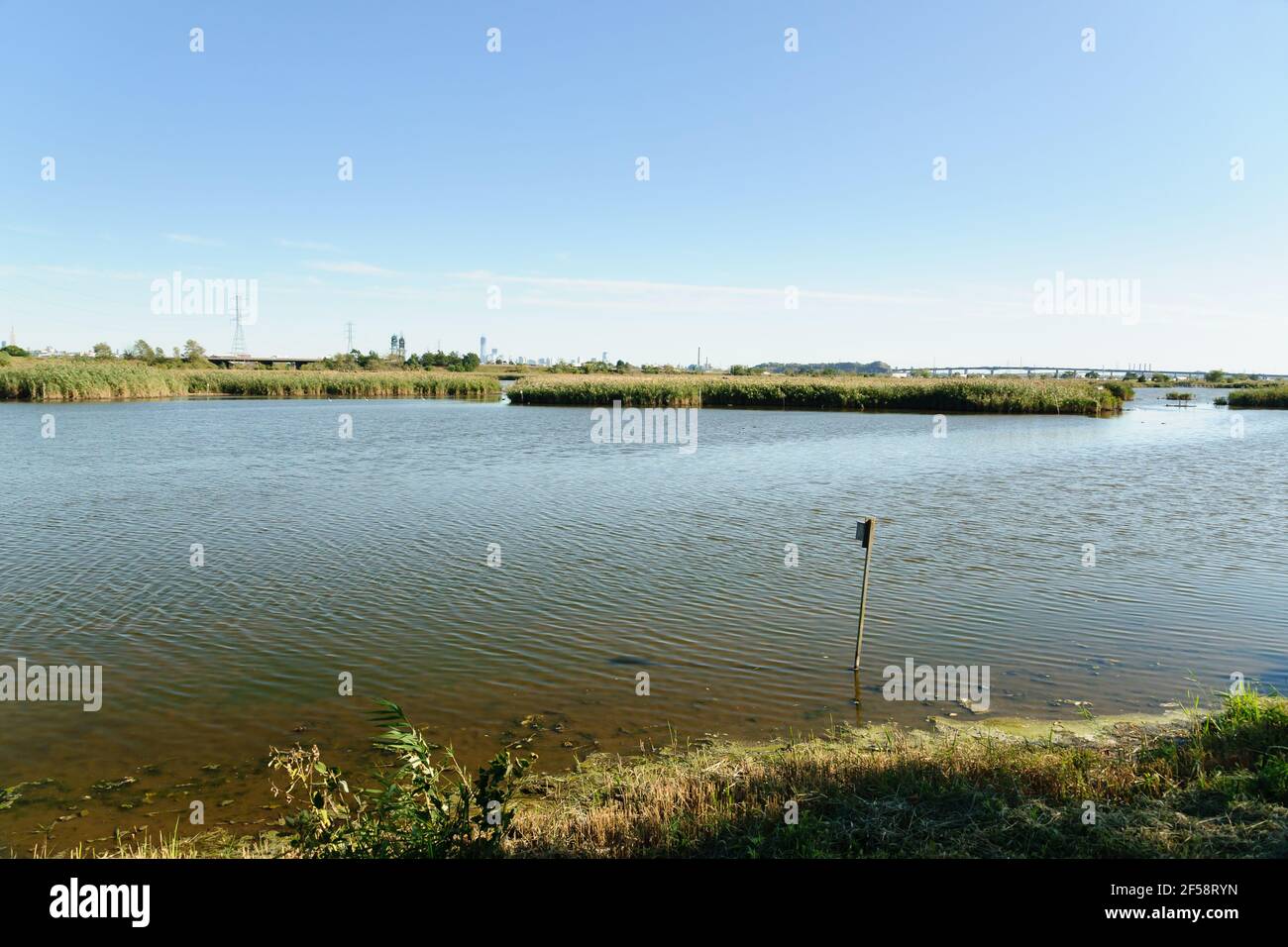 Richard W DeKorte Park Meadowlands Environment Center, New Jersey un ancien site d'enfouissement qui a été aménagé en un réserve naturelle Banque D'Images