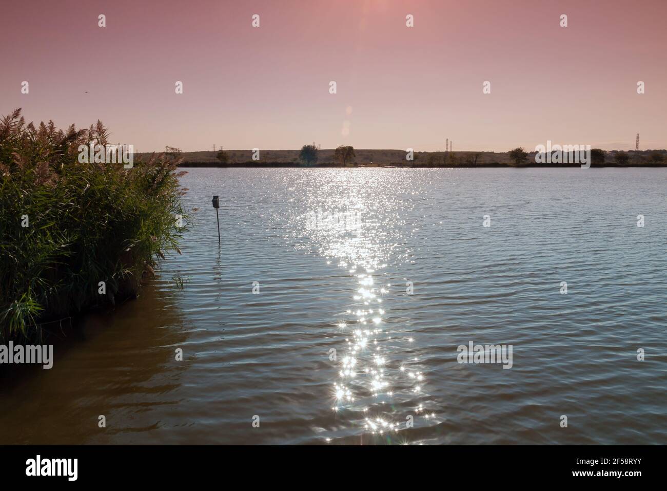 Richard W DeKorte Park Meadowlands Environment Center, New Jersey un ancien site d'enfouissement qui a été aménagé en un réserve naturelle Banque D'Images