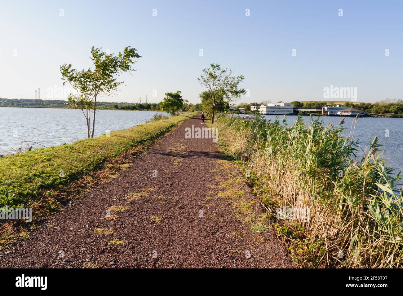 Richard W DeKorte Park Meadowlands Environment Center, New Jersey un ancien site d'enfouissement qui a été aménagé en un réserve naturelle Banque D'Images