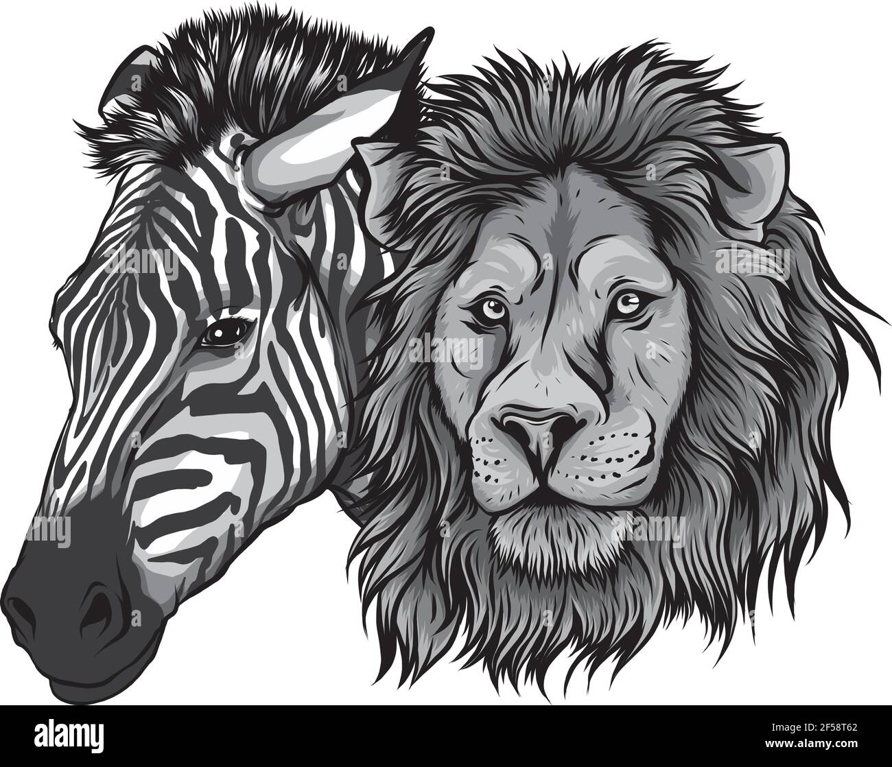 motif vectoriel zébré et tête de lion Illustration de Vecteur
