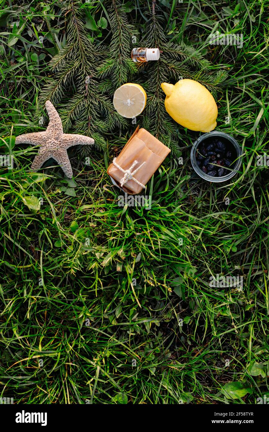 Composition de coquillages exotiques, d'étoiles de mer et de tranches de citron.Concept de produits de nettoyage de mer ou d'été tropical, vue de dessus.Marine, savon et essence Banque D'Images