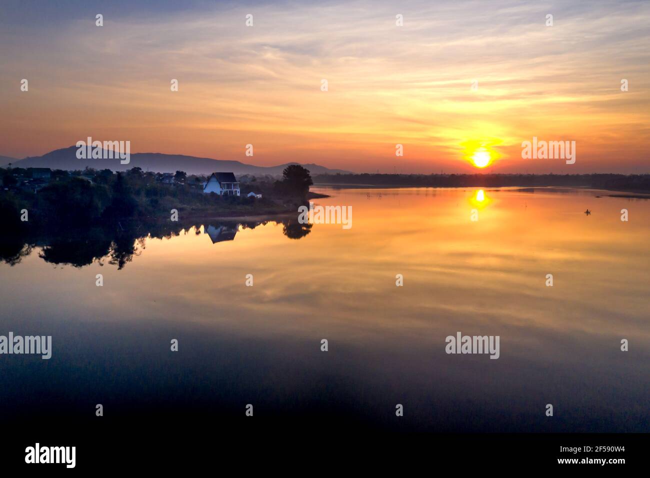 Aube sur la mer des lacs de thé dans la province de Gia Lai, Viet Nam Banque D'Images