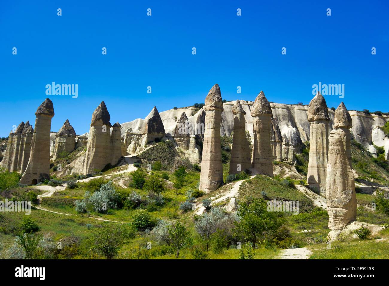 Cheminées de fées typiques, formations rocheuses de grès érodées dans la vallée de l'Amour, près des villes de Göreme et Çavusin. Cappadoce. Anatolie centrale.Turquie Banque D'Images