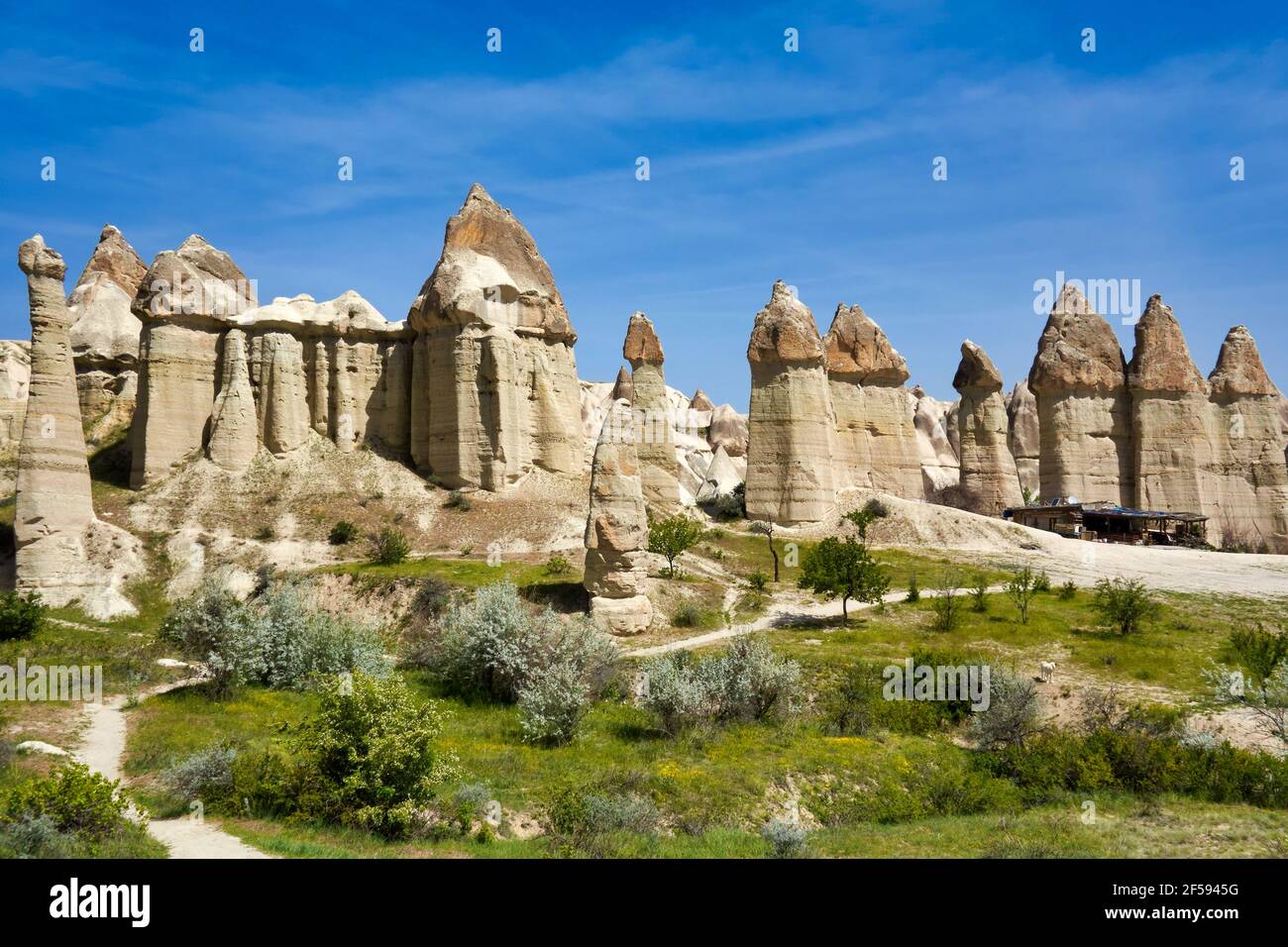 Cheminées de fées typiques, formations rocheuses de grès érodées dans la vallée de l'Amour, près des villes de Göreme et Çavusin. Cappadoce. Anatolie centrale.Turquie Banque D'Images